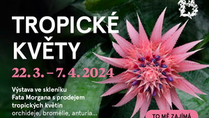 Tropické květy – Prodejní výstava v Botanické zahradě Praha